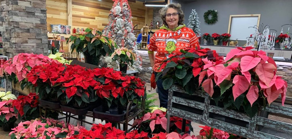 New North Greenhouses Holiday Store